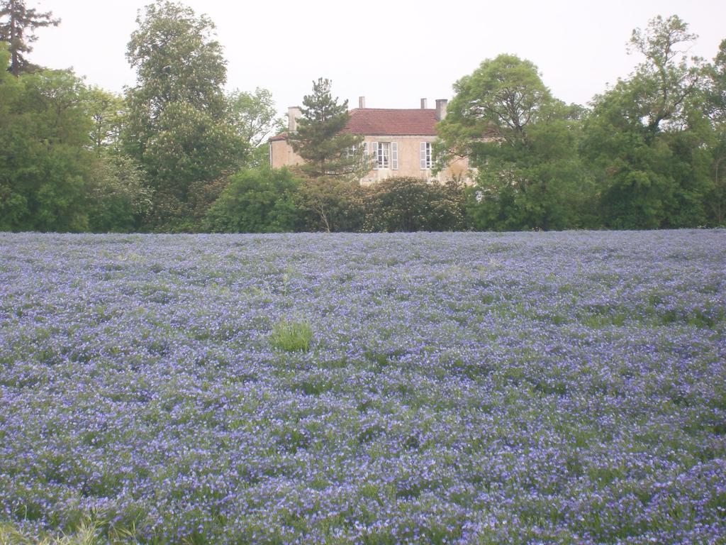 Manoir Angle Bed & Breakfast Blanzay-sur-Boutonne Exterior photo